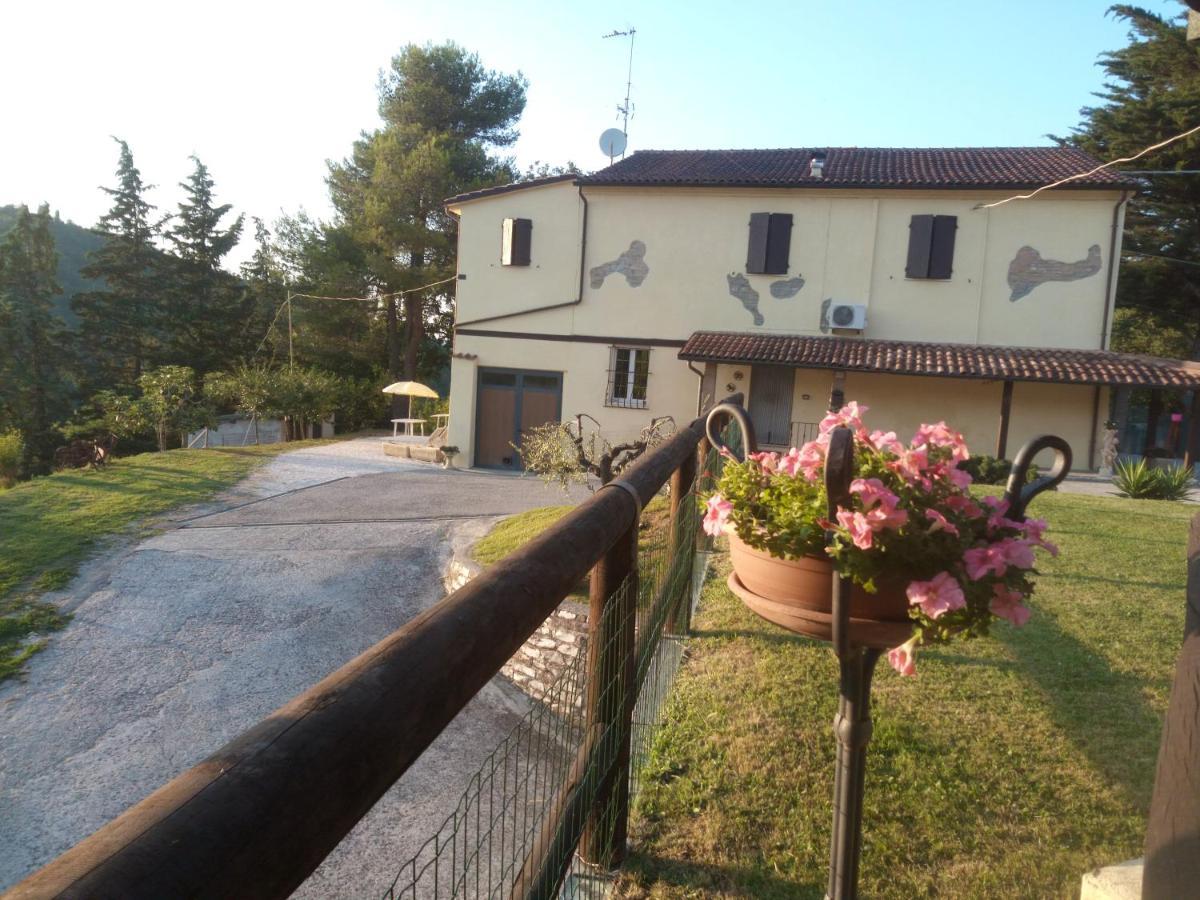 B&B Marcello & Francesca Urbino Dış mekan fotoğraf